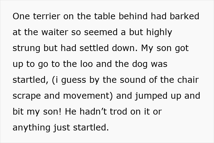 Dog bite incident involving negligent owners and a startled dog attacking a child without provocation. Dog bite incident involving negligent owners and a startled dog attacking a child without provocation.