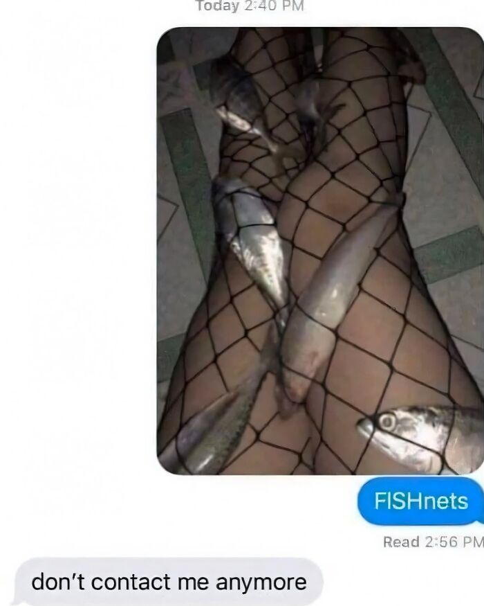 Legs covered in fishnet stockings with fish placed between the netting, capturing a funny meme with a pun on fishnets.