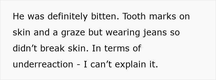 Text describing a child bitten by a dog with visible tooth marks and grazes, highlighting negligent dog owners. Text describing a child bitten by a dog with visible tooth marks and grazes, highlighting negligent dog owners.