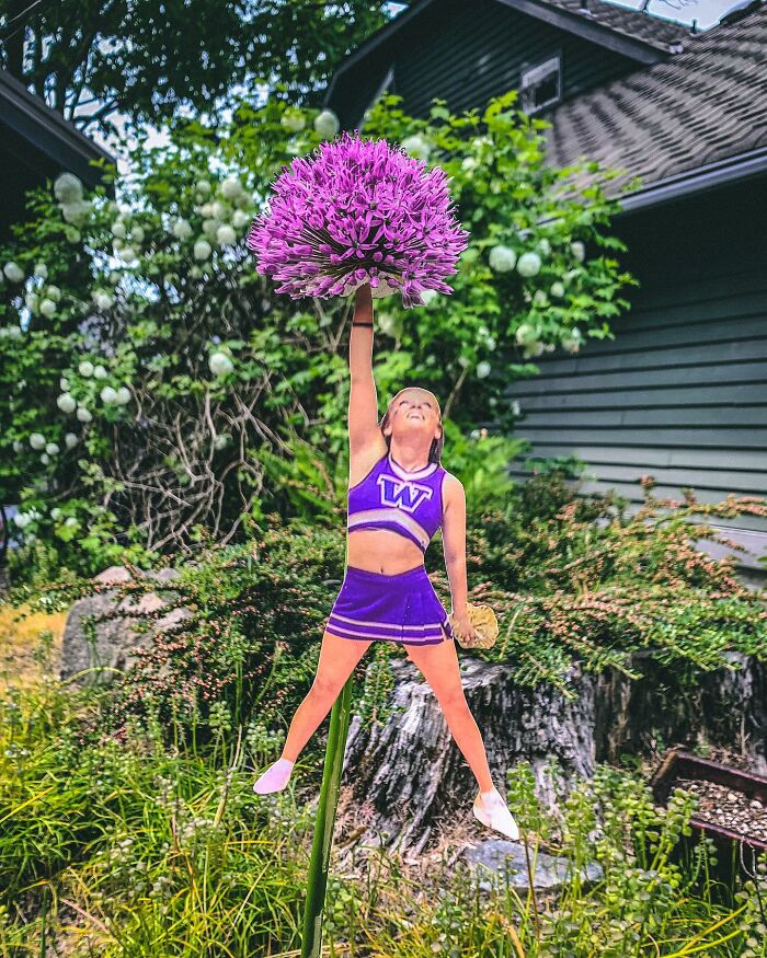 Paper cutouts by Rudy Willingham creatively placed to interact with a flower resembling a cheerleader's pom-pom.