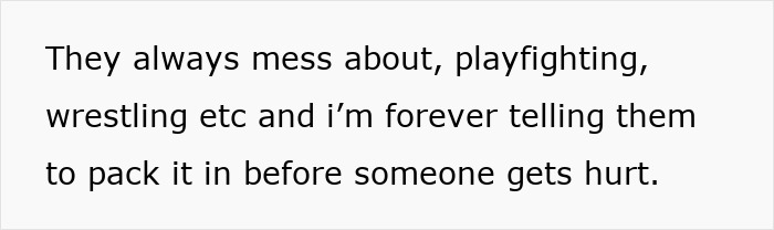 Text on a white background reads They always mess about, playfighting, wrestling etc and I&rsquo;m forever telling them to pack it in before someone gets hurt.