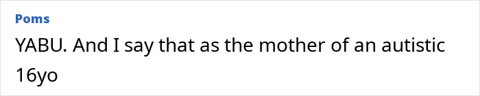 Comment text from mother of autistic teen discussing punishment related to sarcasm misunderstanding at school. Comment text from mother of autistic teen discussing punishment related to sarcasm misunderstanding at school.
