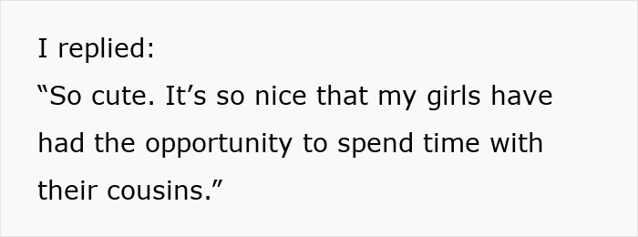 Text excerpt showing a person replying about nieces spending time with cousins in family interaction discussion. Text excerpt showing a person replying about nieces spending time with cousins in family interaction discussion.