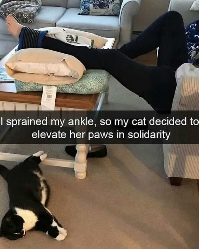 Cat lying on the floor with paws elevated mimicking owner’s injured ankle in a cute animal memes moment.