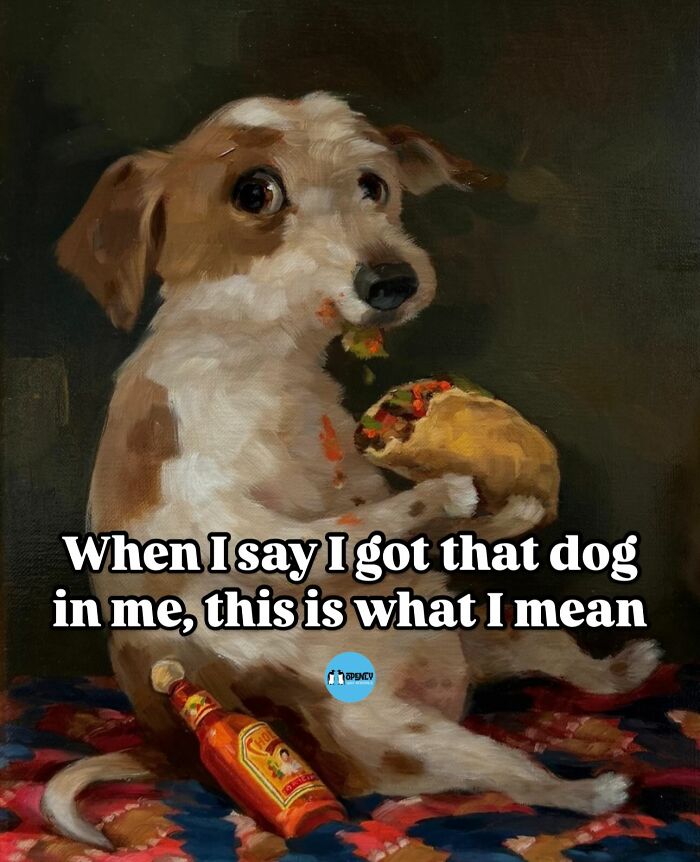 Cute dog meme holding food with funny caption, bringing positivity through funny and cute animal memes.