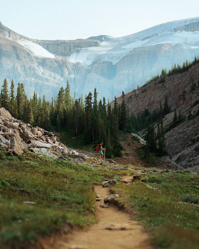 Hiker exploring a mountain trail with pine trees and rocky cliffs, symbolizing a journey to find purpose.
