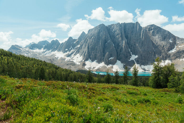 Mountain landscape with green forest and snow patches, symbolizing reflection and finding purpose on a personal journey.