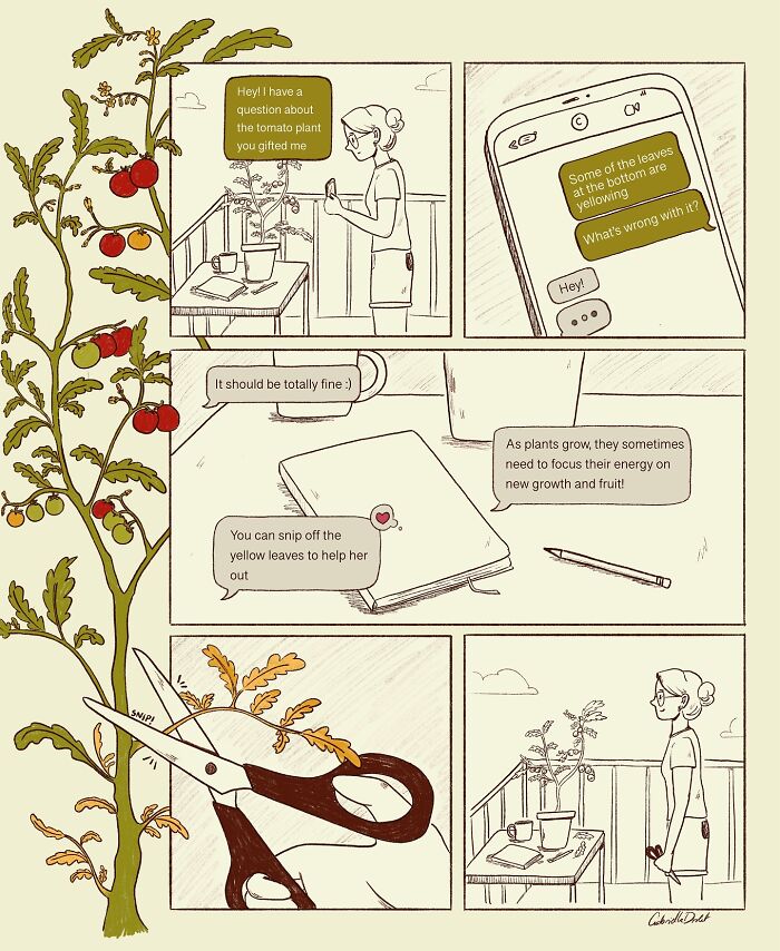 Comic strip showing a woman caring for a tomato plant, illustrating funny and honest life moments by Gabrielle Drolet.