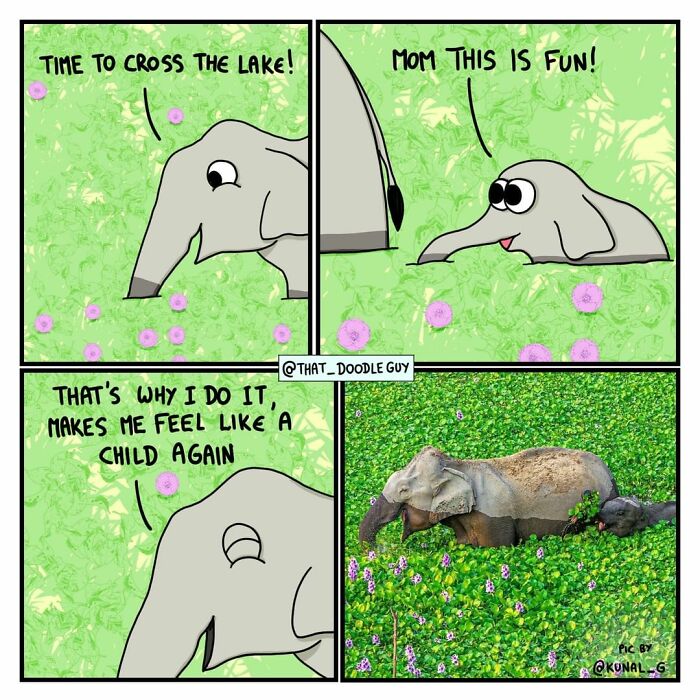 Cartoon elephants crossing a lake with flowers, paired with a real elephant in water in a funny animal comic style.