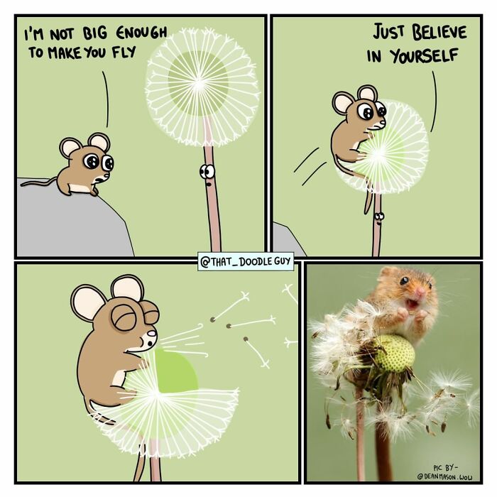 Cartoon mouse uses dandelion seeds to fly, paired with a real photo of a hamster on a dandelion in funny animal comics.
