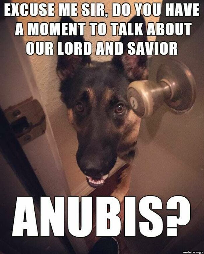 German shepherd dog peeking through a door with a humorous Ancient Egypt meme referencing Anubis.