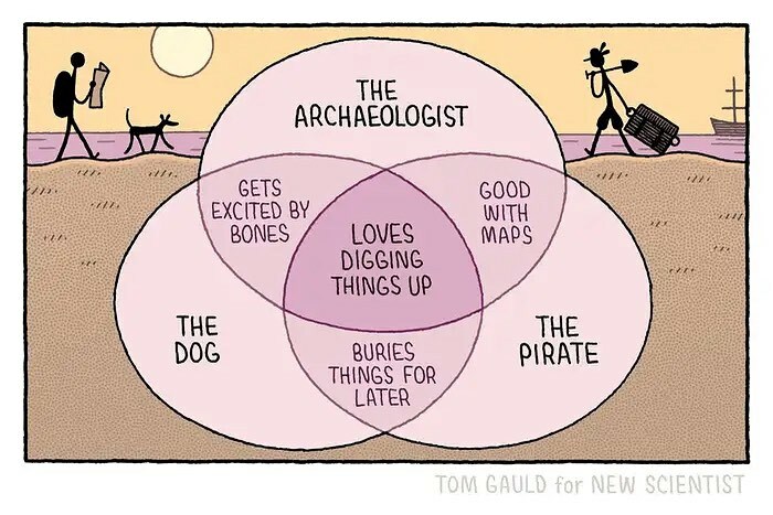 Venn diagram comic by Tom Gauld illustrating how books, art, and science overlap in archaeology, dogs, and pirates.