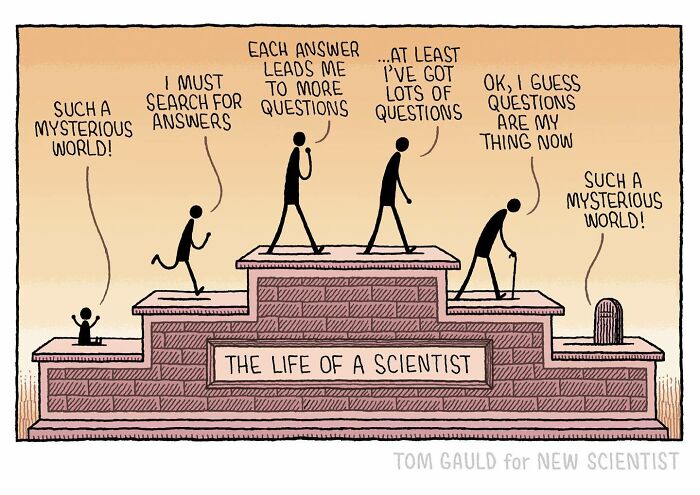 Comic illustration by Tom Gauld showing stages in the life of a scientist exploring big ideas through tiny comics.