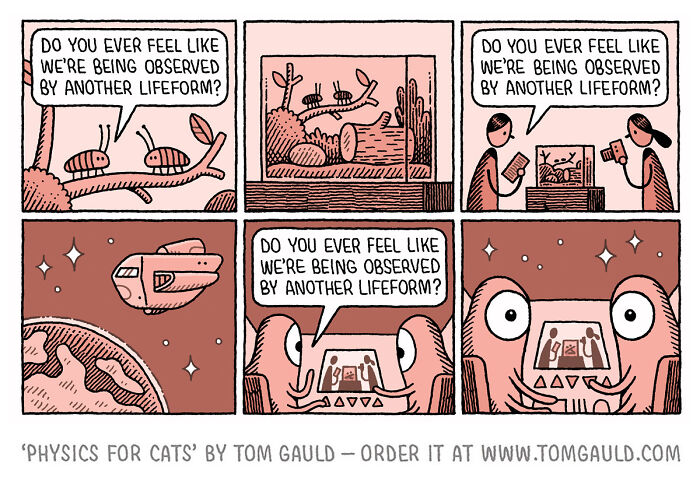 Comic strip by Tom Gauld illustrating science and art through tiny comics featuring lifeforms observing each other in various scenes.