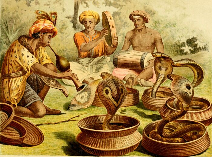 Three snake charmers with traditional instruments interacting with cobras in woven baskets in a historical setting.