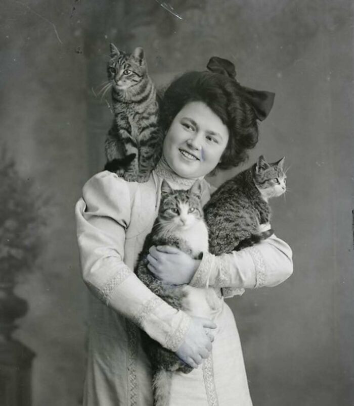 Victorian era woman holding and posing with three cats in a weird photo showcasing a different time period.