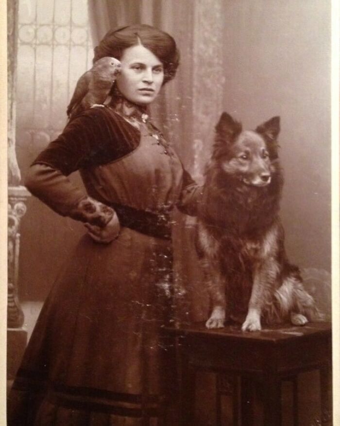 Victorian era photo of a woman with a parrot on her shoulder and a dog sitting on a table in a vintage setting.
