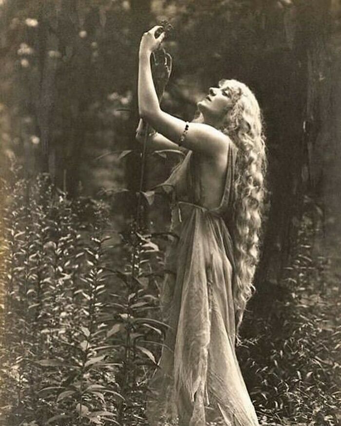 Victorian era woman with long curly hair in a flowing dress reaching up to a plant in a forest, weird photo.