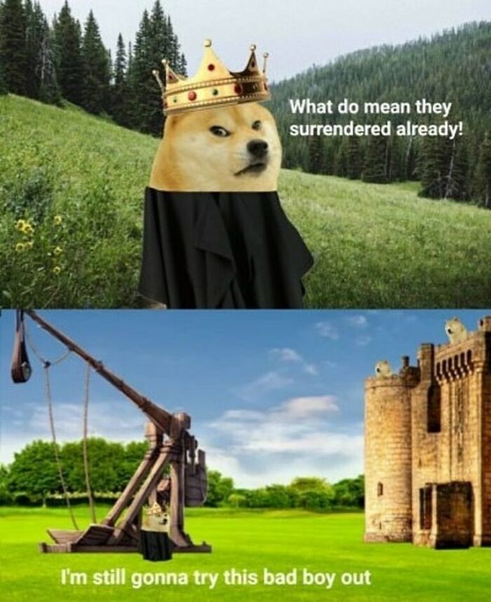 Dog wearing a crown humorously comments on surrender while a medieval catapult aims at a castle in a funny history meme.