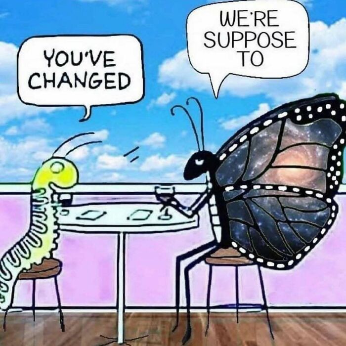 Cartoon of a caterpillar and butterfly at a table, with speech bubbles saying you’ve changed, illustrating funny memes to scroll.
