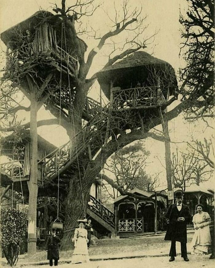 Victorian era weird photo showing an elaborate treehouse with people standing nearby in vintage clothing.