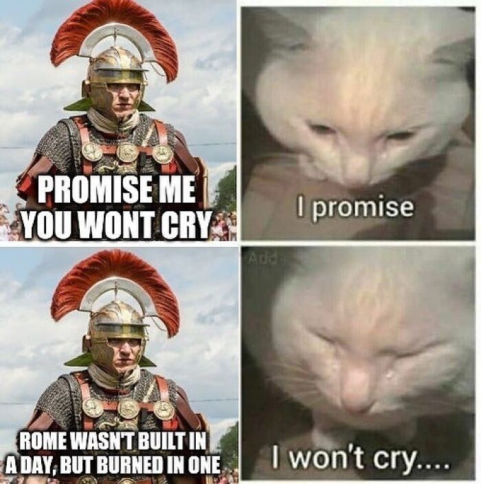 Roman soldier referencing Rome's history paired with a cat meme, combining humor and history in hilarious history memes.