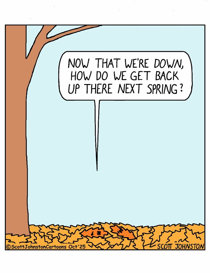 Funny cartoon showing two animals in fallen leaves asking how to get back up in spring, humorous and lighthearted.