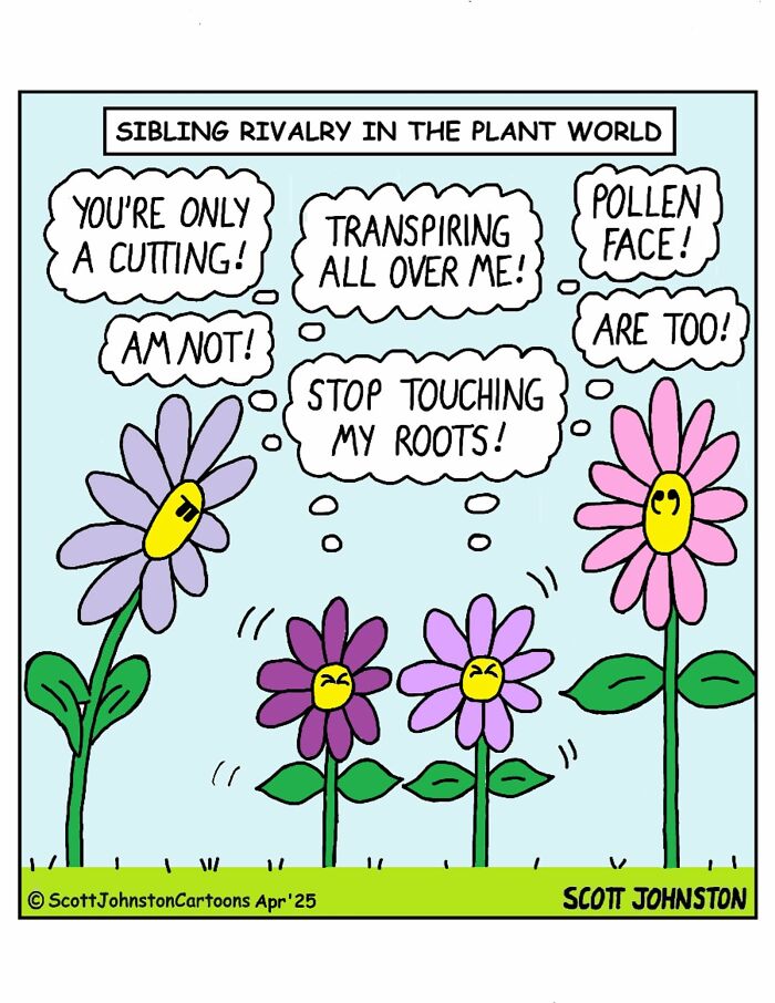 Cartoon of flowers with faces arguing about sibling rivalry in the plant world, a funny cartoon brightening your day.