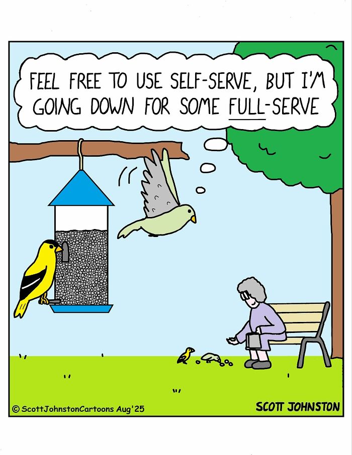 Cartoon of birds at a feeder and a person feeding birds on a bench with a funny caption about full-serve.