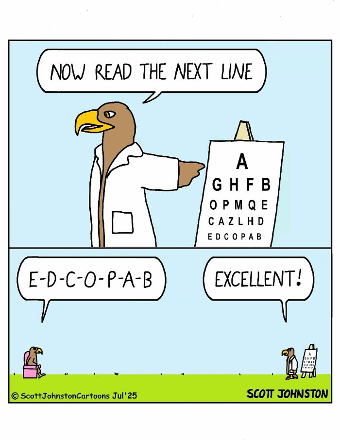 Funny cartoon with birds doing an eye test using a chart, showcasing humor to brighten your day.