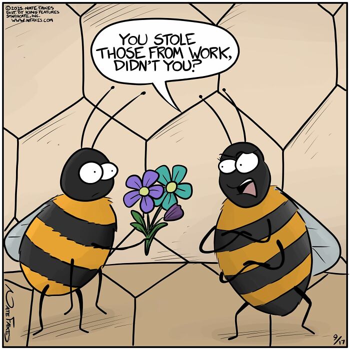 Comic by Nate Fakes showing two bees with one accusing the other of stealing flowers, illustrating life’s absurdities.