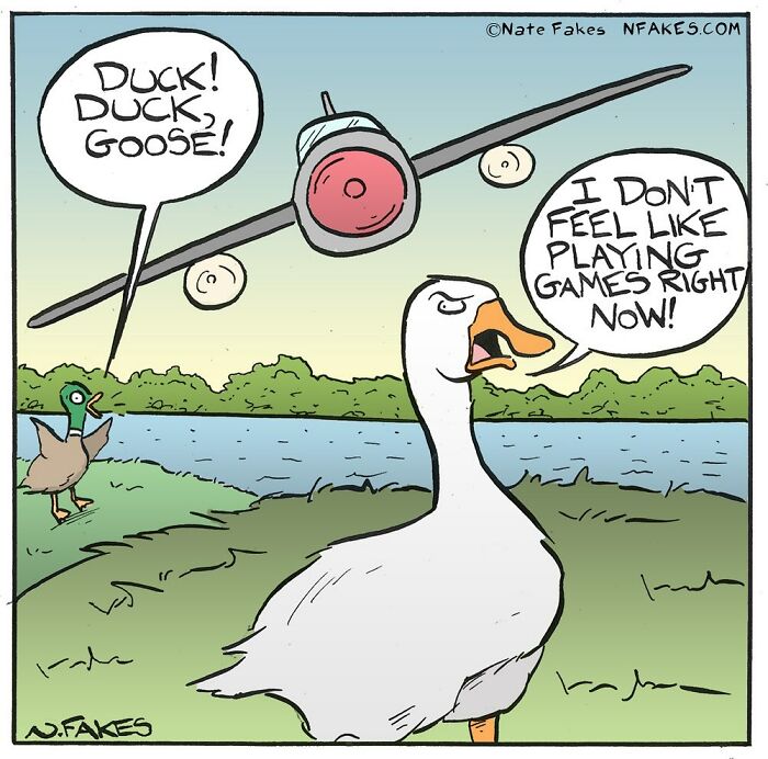 Comic by Nate Fakes showing a goose refusing to play duck duck goose while a plane flies overhead near a pond.