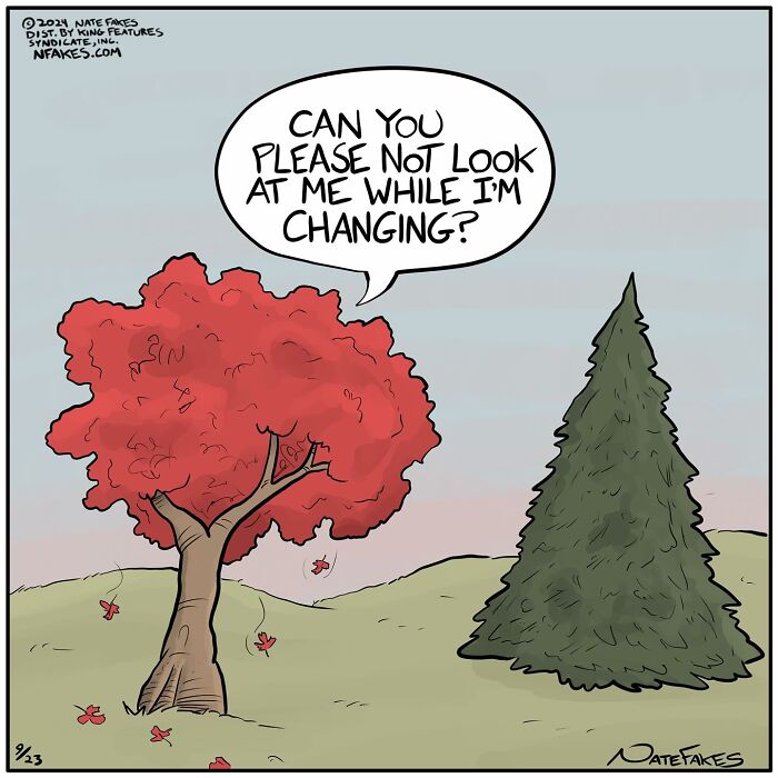Cartoon by Nate Fakes shows a red tree asking a green pine tree not to look while it is changing leaves.
