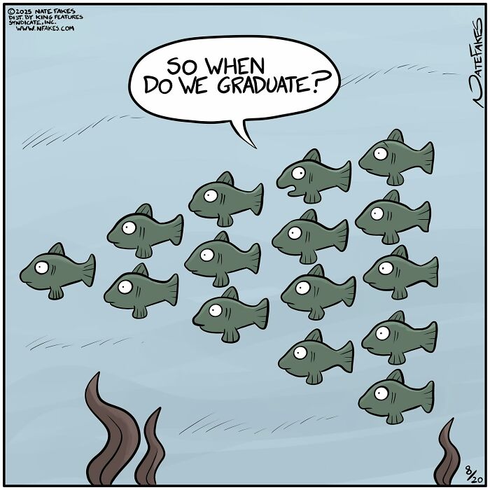 Cartoon fish school asking when they graduate, illustrating life's absurdities in a witty comic by Nate Fakes.