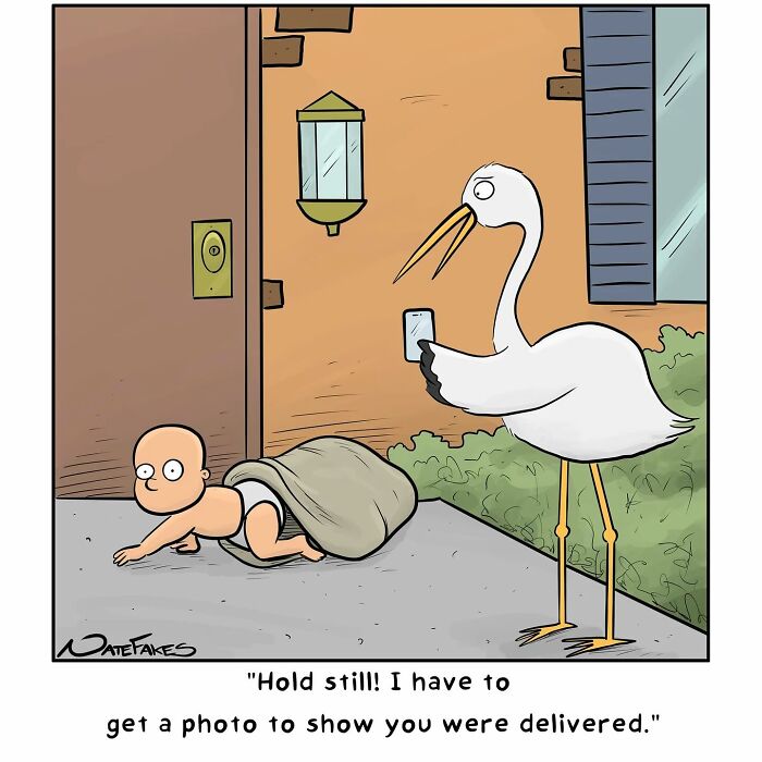 Comic by Nate Fakes showing a stork taking a photo of a crawling baby for life’s absurdities humor.