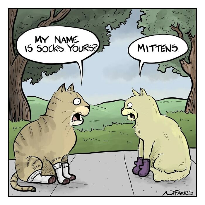 Two cats with socks and mittens having a funny conversation in a witty comic by Nate Fakes about life’s absurdities.