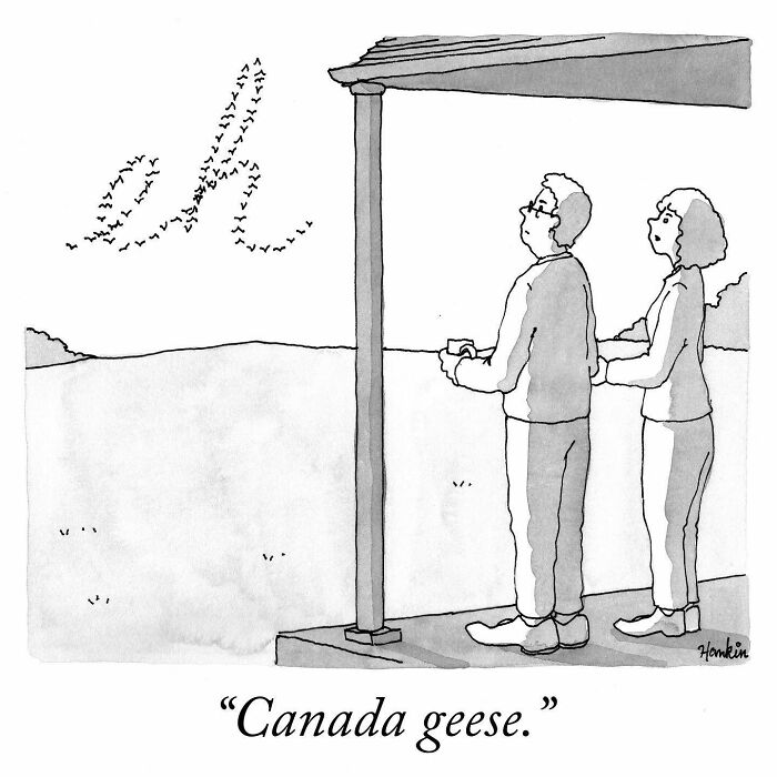 Two people on a porch watching Canada geese flying in formation forming a word in a funny single-frame story.