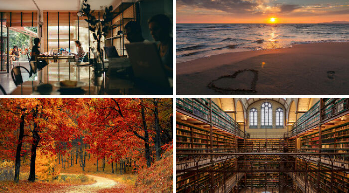 Collage showing diverse scenes including a cozy cafe, beach sunset, autumn forest path, and an ornate library for Choose One Lose The Rest Poll.