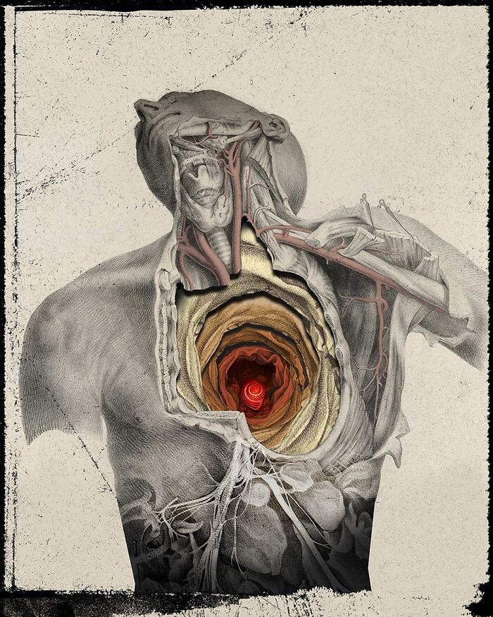Intricate collage of a human torso with layered textures and a glowing red spiral at the center of the chest cavity.