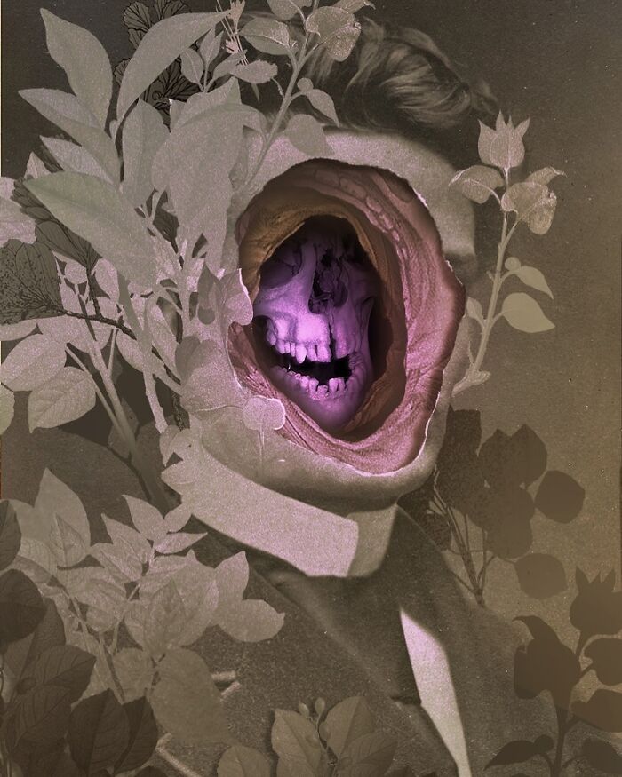 Surreal intricate collage of a vintage portrait with a hollow opening revealing a glowing purple skull surrounded by leaves and plants.
