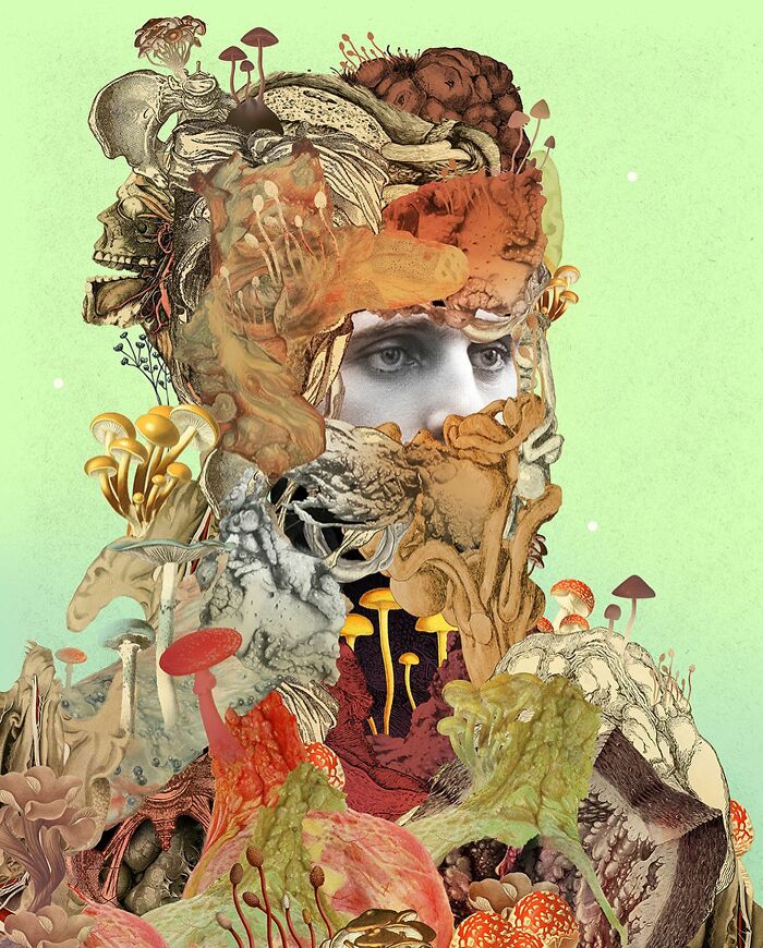 Intricate collage artwork featuring a surreal human face intertwined with various mushrooms and organic textures.