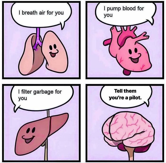 Cute cartoon organs with faces talking about their functions, ending with a brain saying tell them you're a pilot for aviation memes.