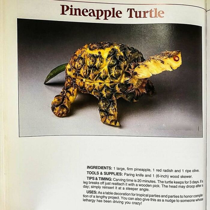 Vintage creative recipe featuring a carved pineapple turtle with radish and olive for unique Gen X style decoration.