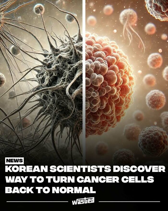 Cancer cells transforming back to normal cells, shared by 18.2M people who learn fun facts and see new things.
