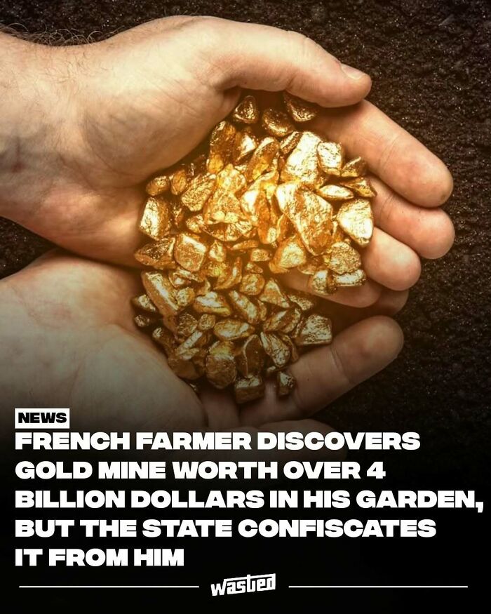 Hands holding shiny gold nuggets, illustrating fun facts about valuable discoveries and interesting new things.