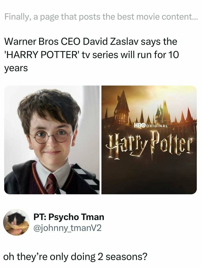 Funny movie meme about the Harry Potter TV series running 10 years but fans expecting only 2 seasons.
