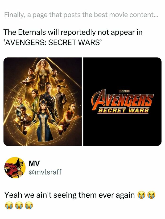 Meme about the Eternals not appearing in Avengers Secret Wars, highlighting funny and interesting movie memes.