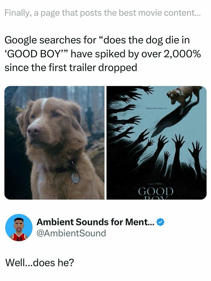 Meme showing increased Google searches about dog death in Good Boy, included in funny interesting movie memes and posts.