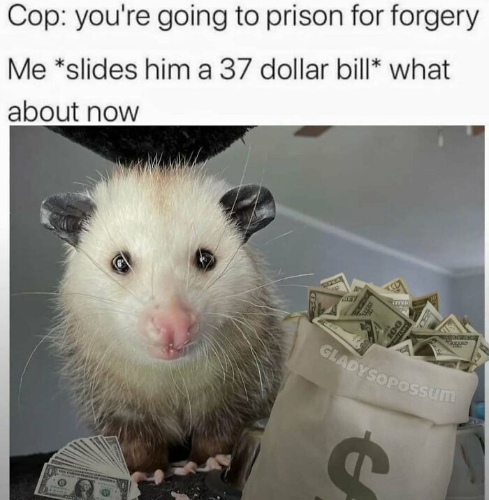 Possum holding money with a bag of cash, a meme related to the Laughgorithm collection of perfect memes.