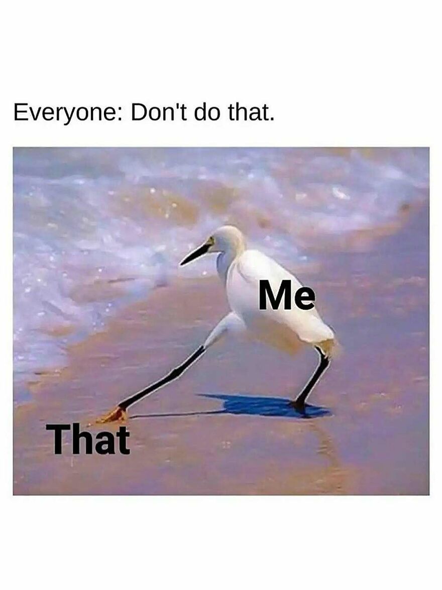 Funny animal meme showing a bird stretching its leg with captions "Me" and "That" on the beach.